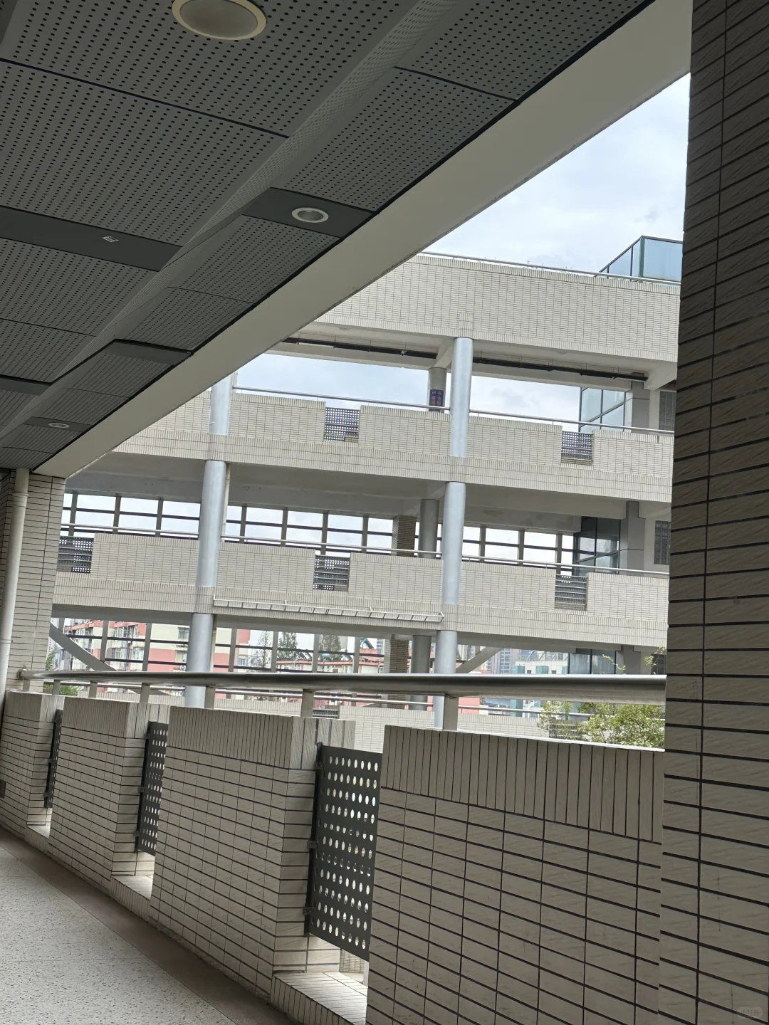 注安把脑细胞全烧死了