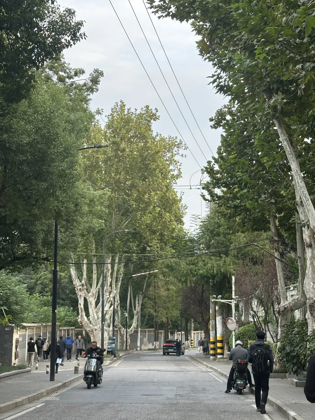 注安把脑细胞全烧死了