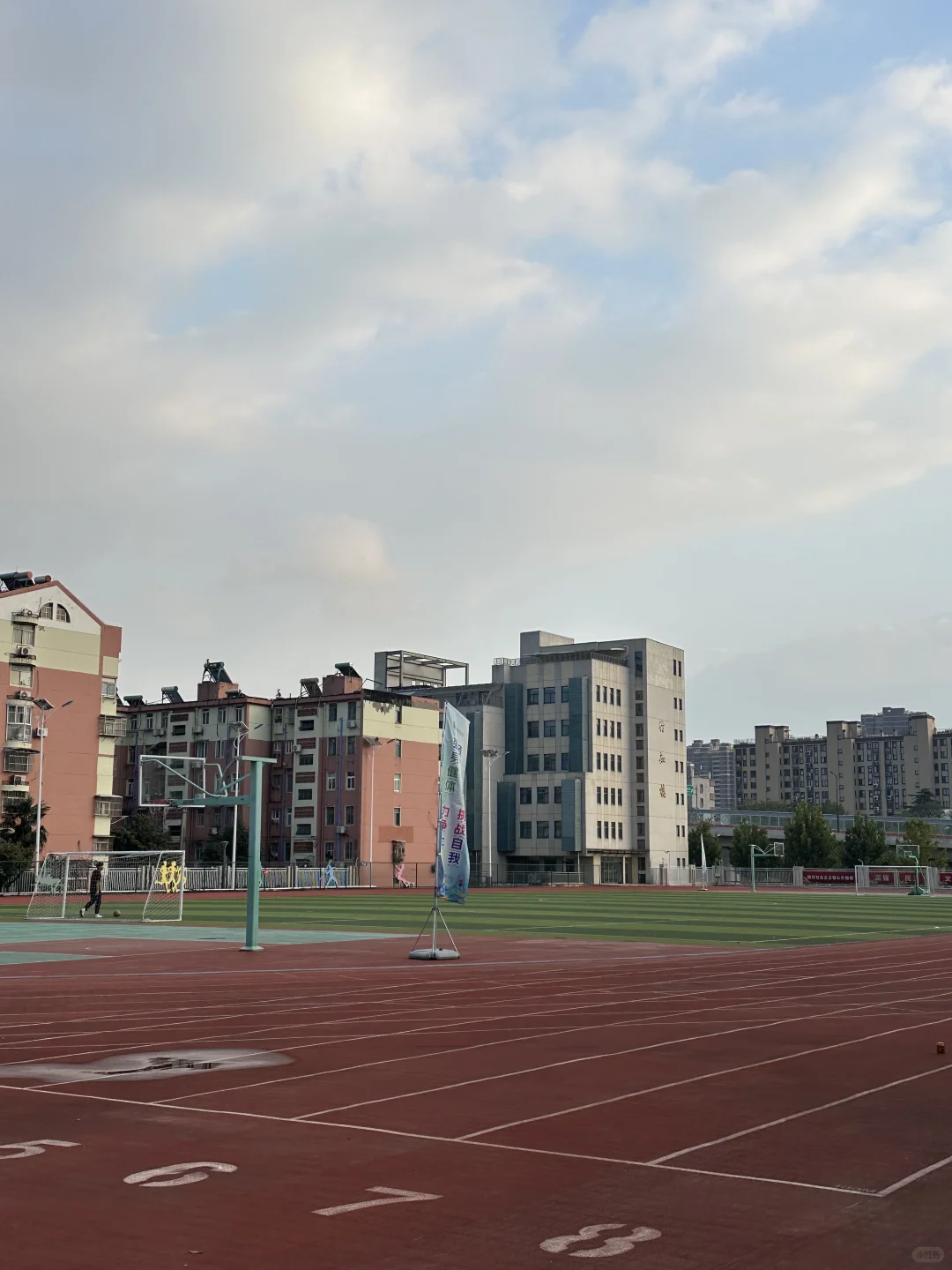 注安把脑细胞全烧死了