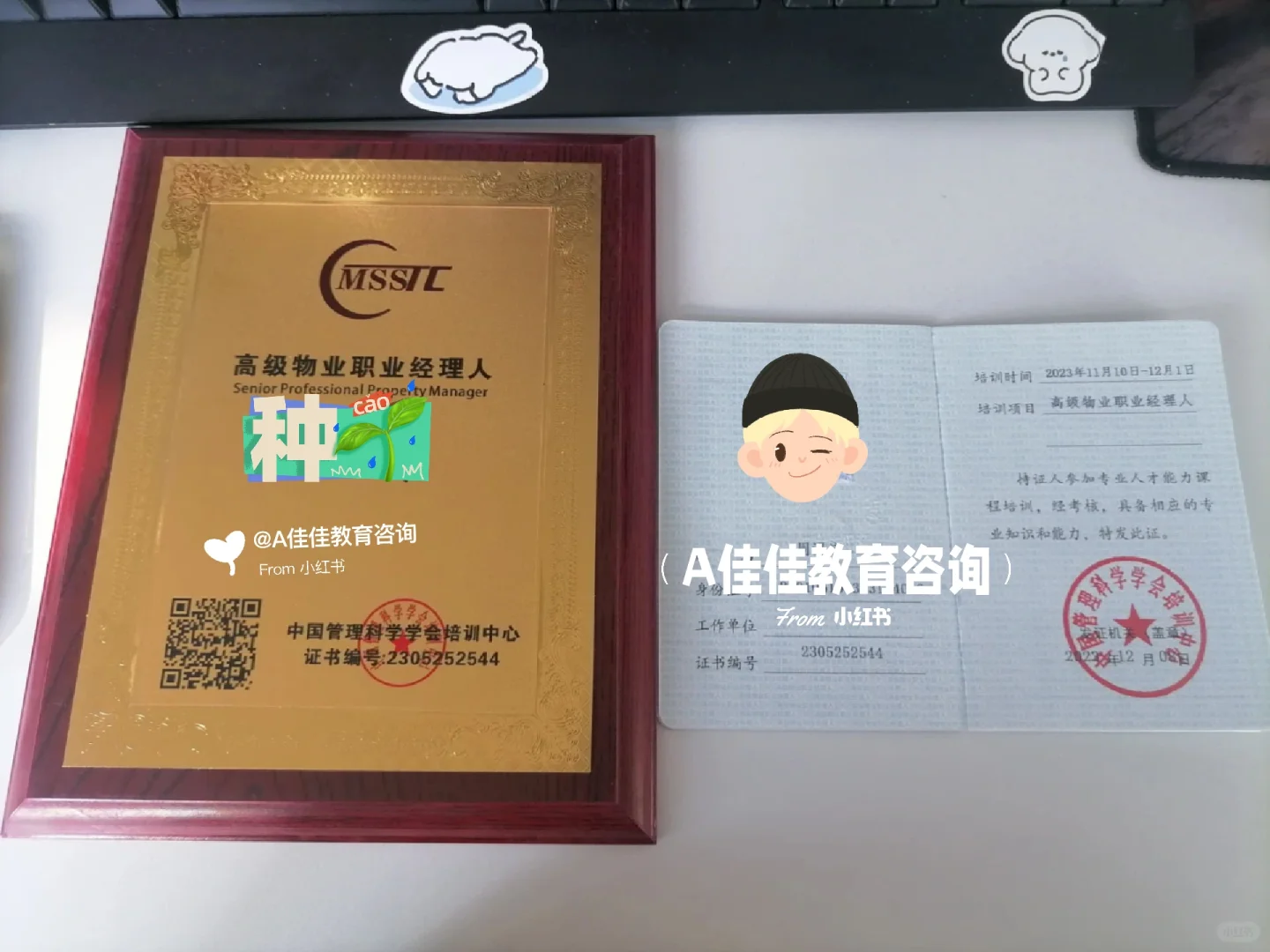 高级物业职业经理人证书