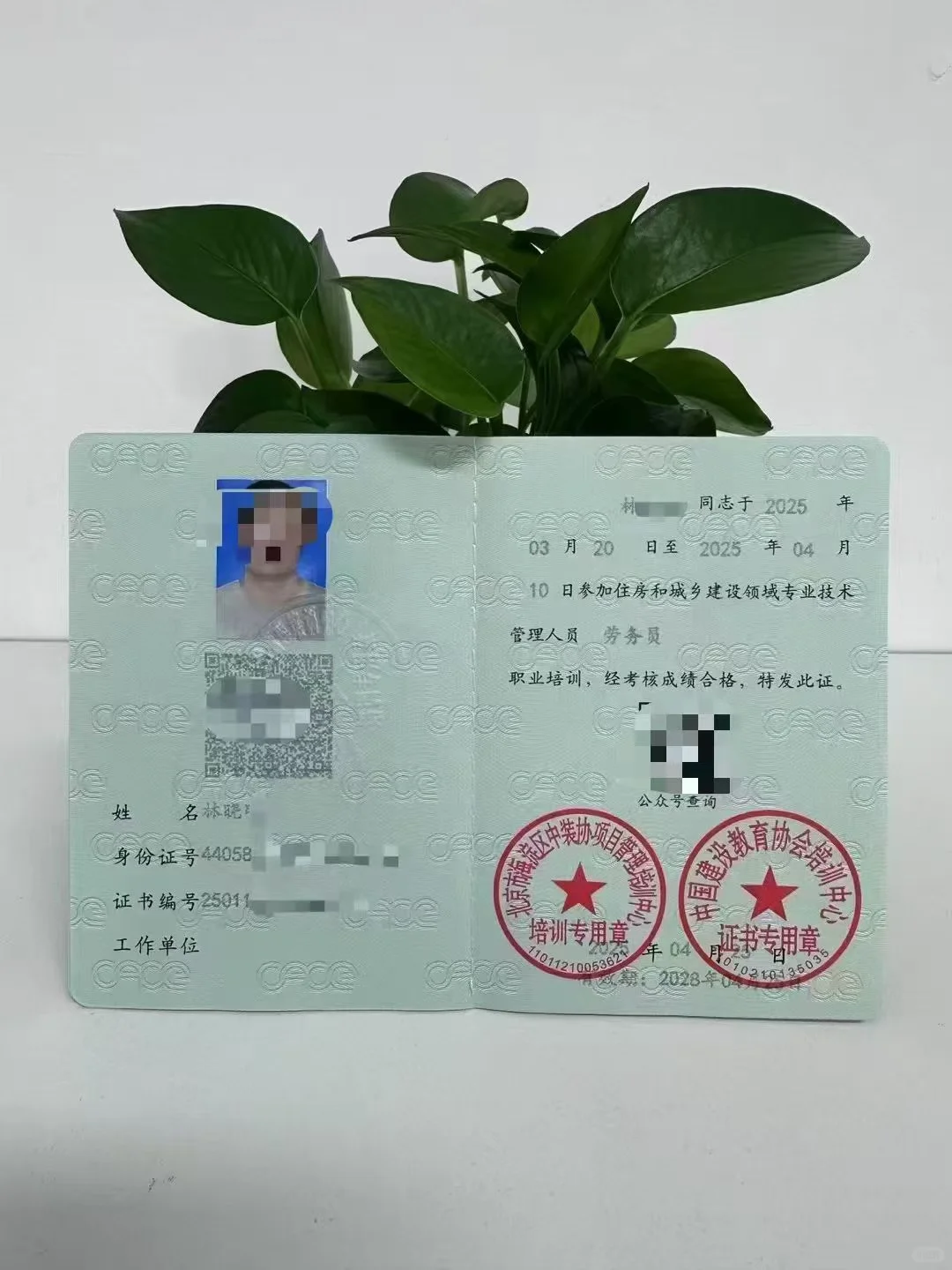 八大员之 劳务员证书🤩