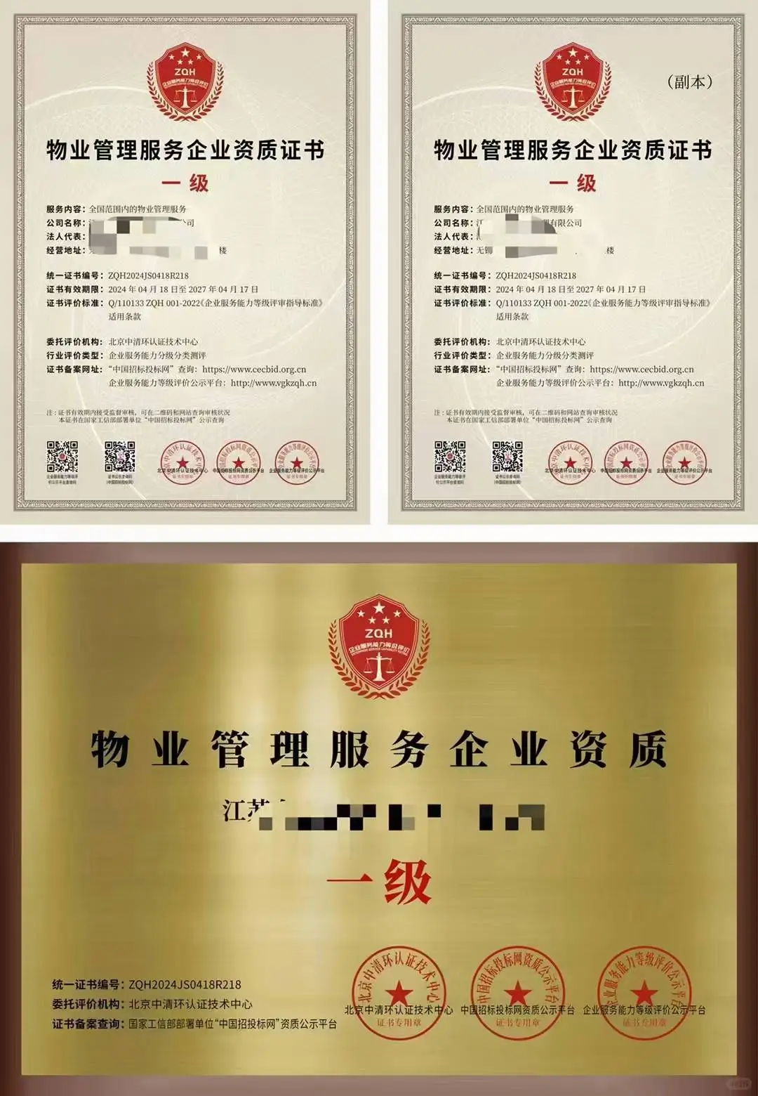 原来证书有这么好看！！！