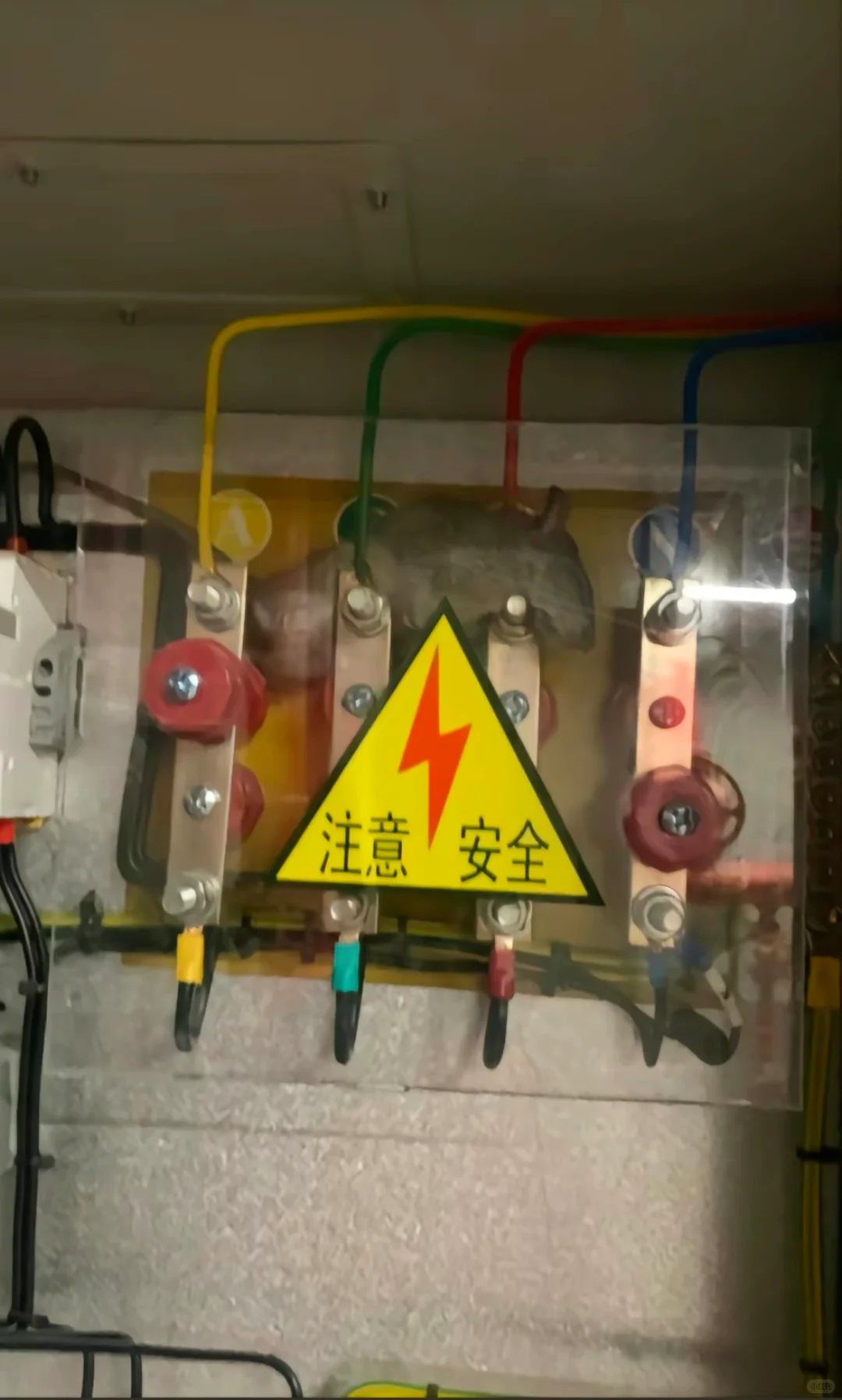 24岁安全员上班第一天被判42年