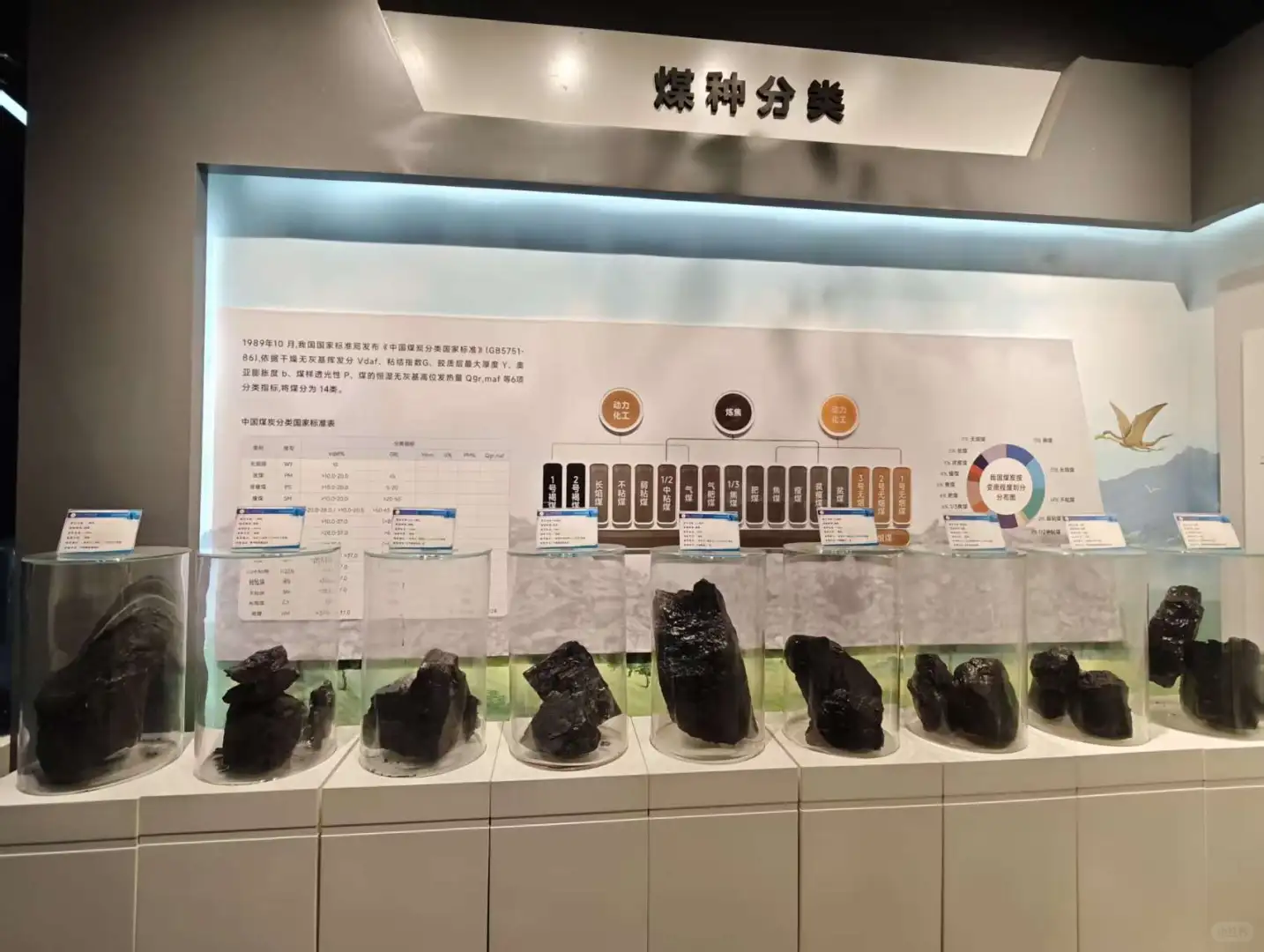 跟我一起去寒武纪做化石研究👓