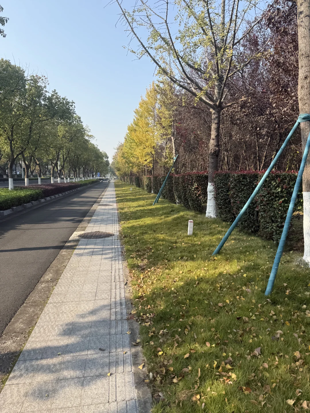 安全员工作的一天之吃吃喝喝