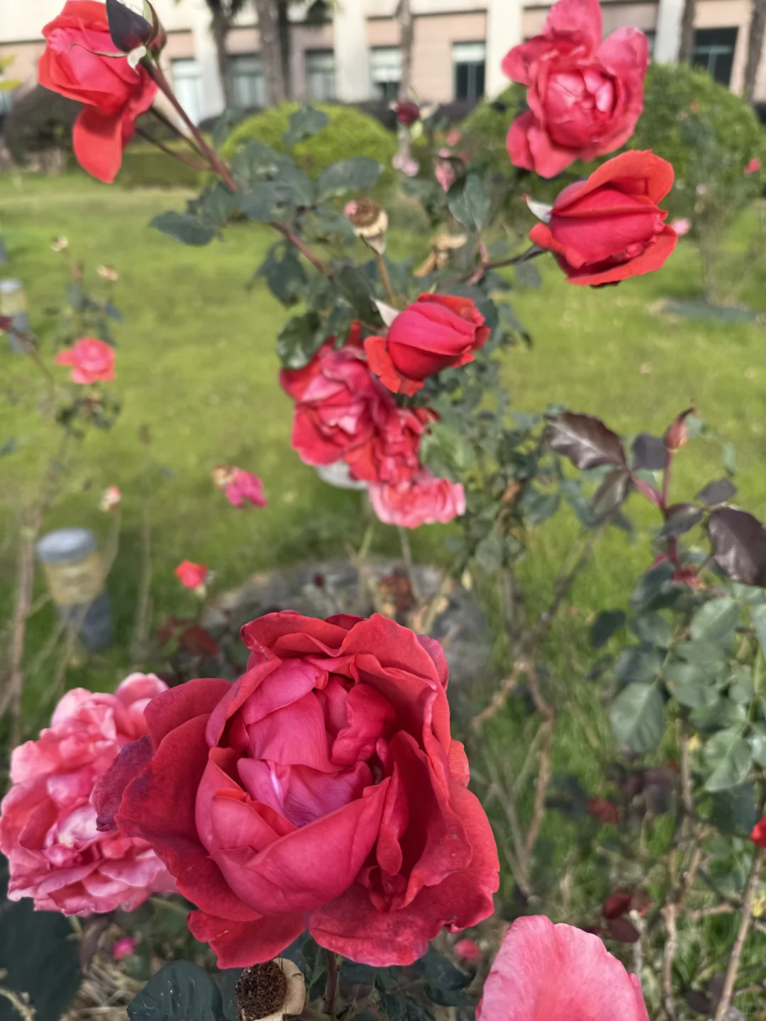 安全员工作的一天之吃吃喝喝