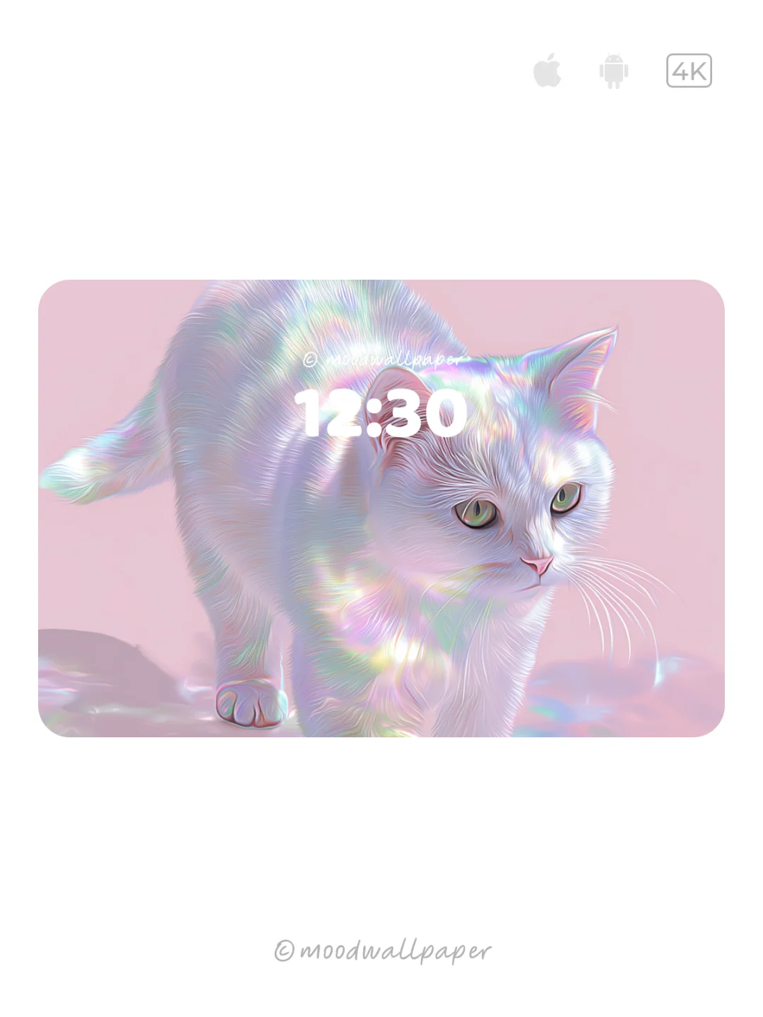 光的使者｜Mood｜情绪壁纸