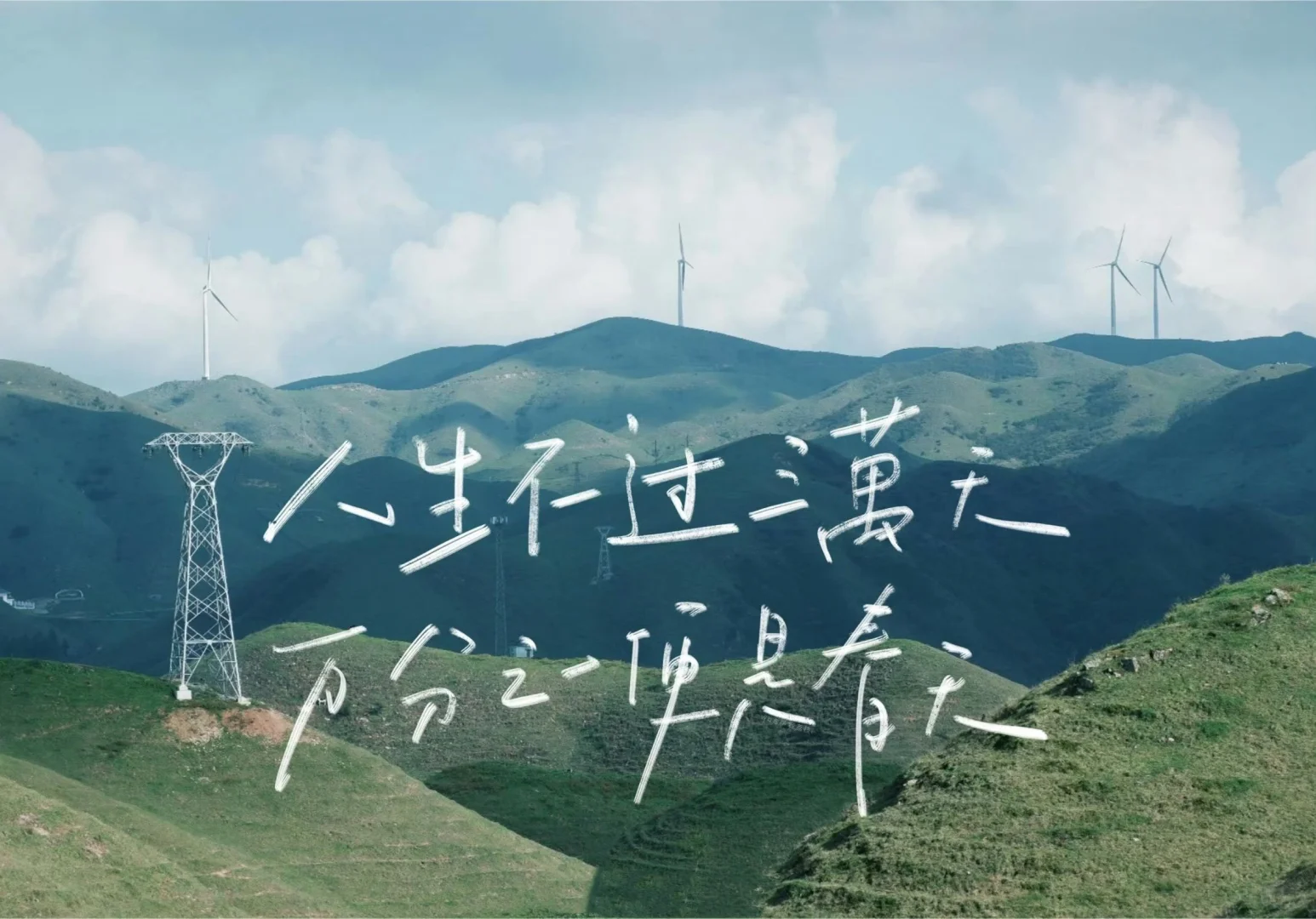 平板ipad壁纸｜自由是灵魂的香气🌱