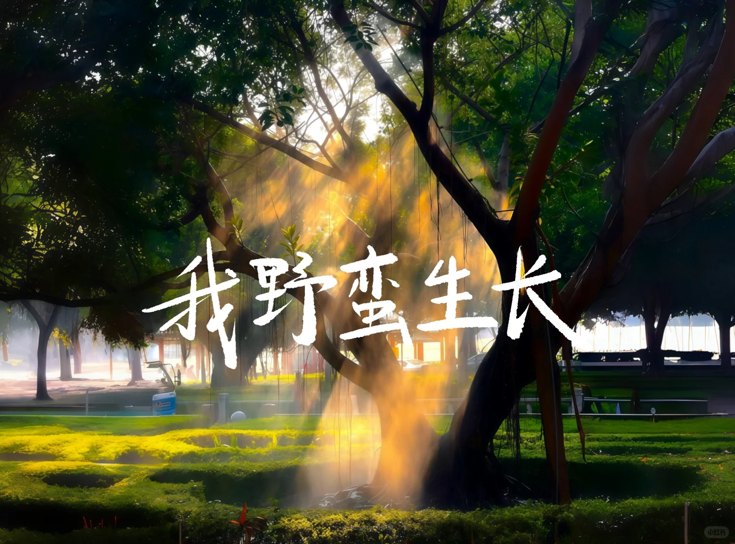 手写iPad壁纸｜坚持一定很酷