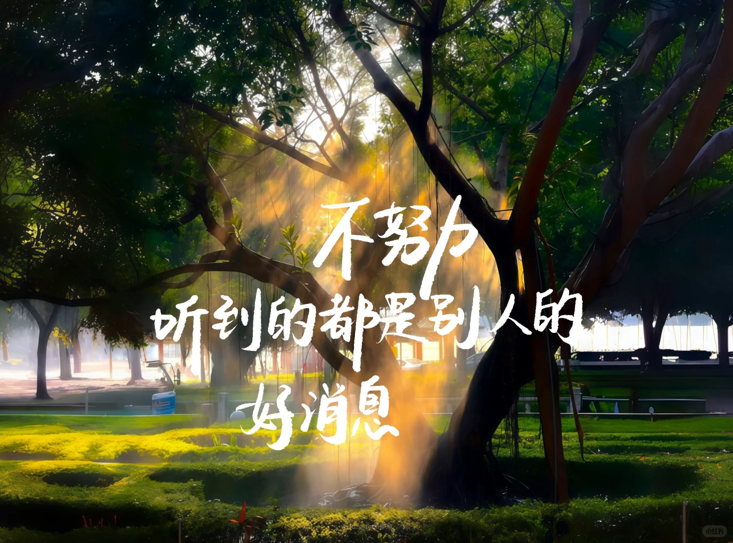 手写iPad壁纸｜坚持一定很酷