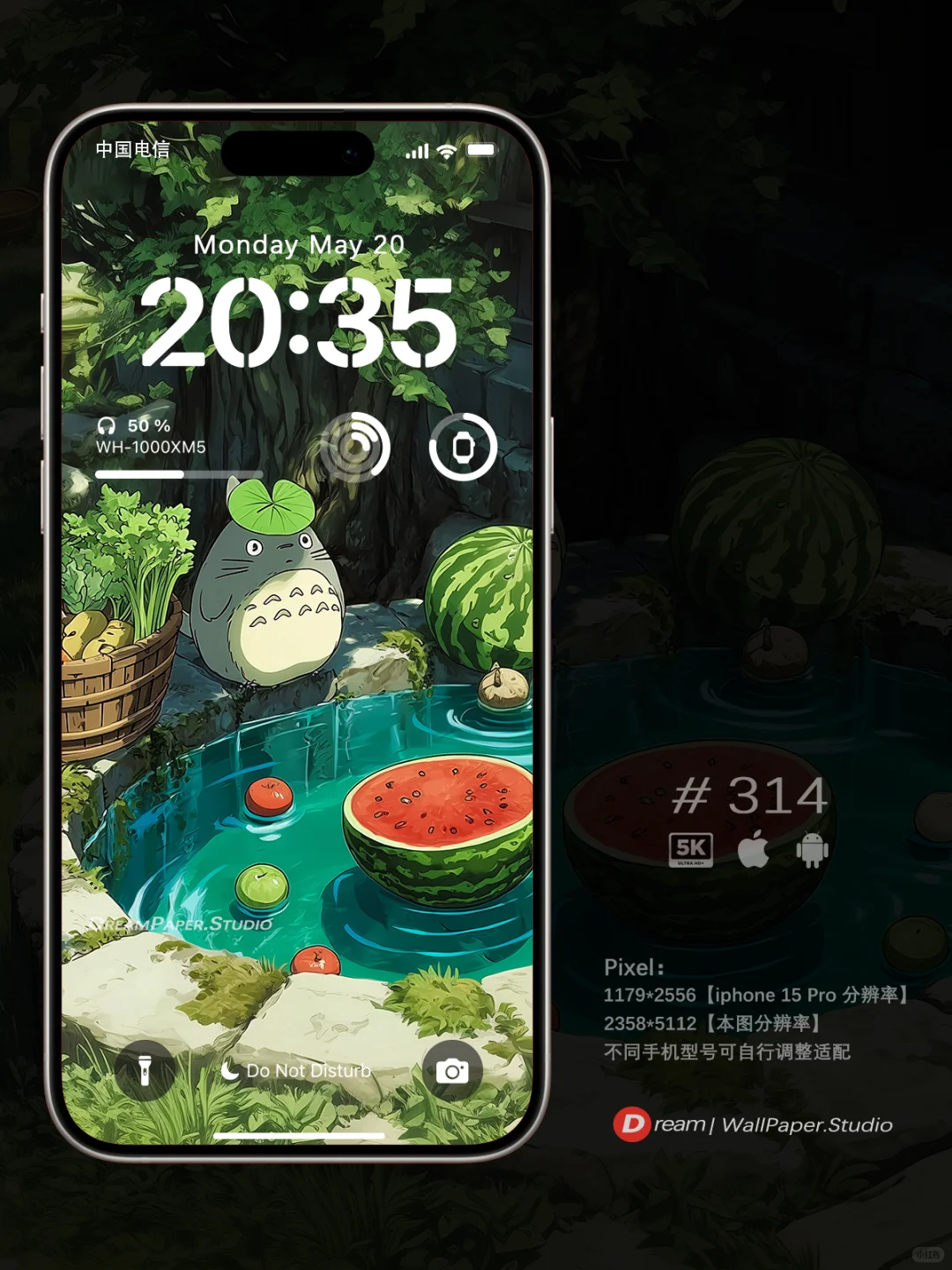 Dream壁纸/“龙猫和冰镇西瓜的夏天”