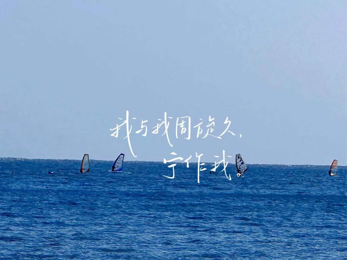 平板ipad壁纸｜自由是灵魂的香气🌱
