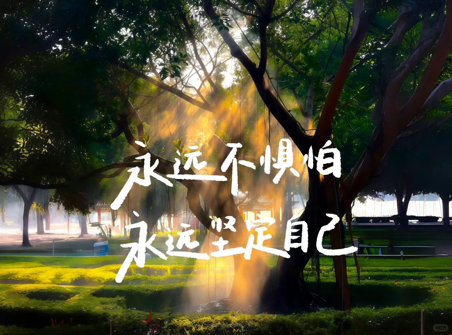 手写iPad壁纸｜坚持一定很酷