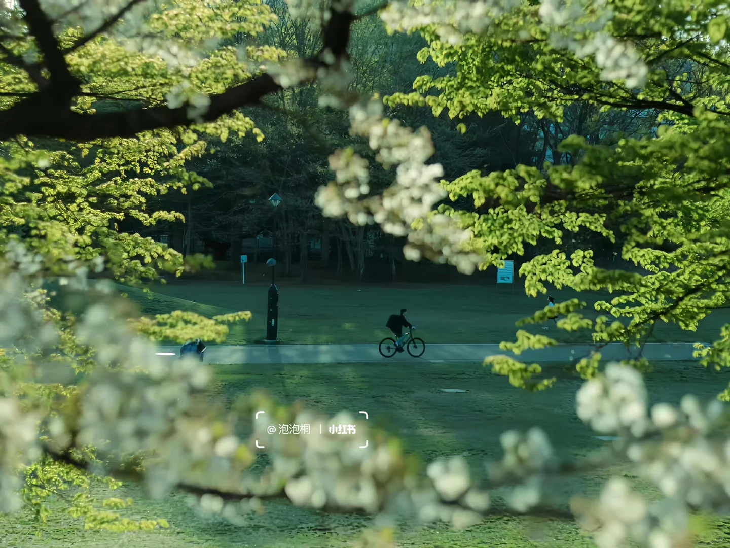 ipad /电脑壁纸、美到心坎里、🌸