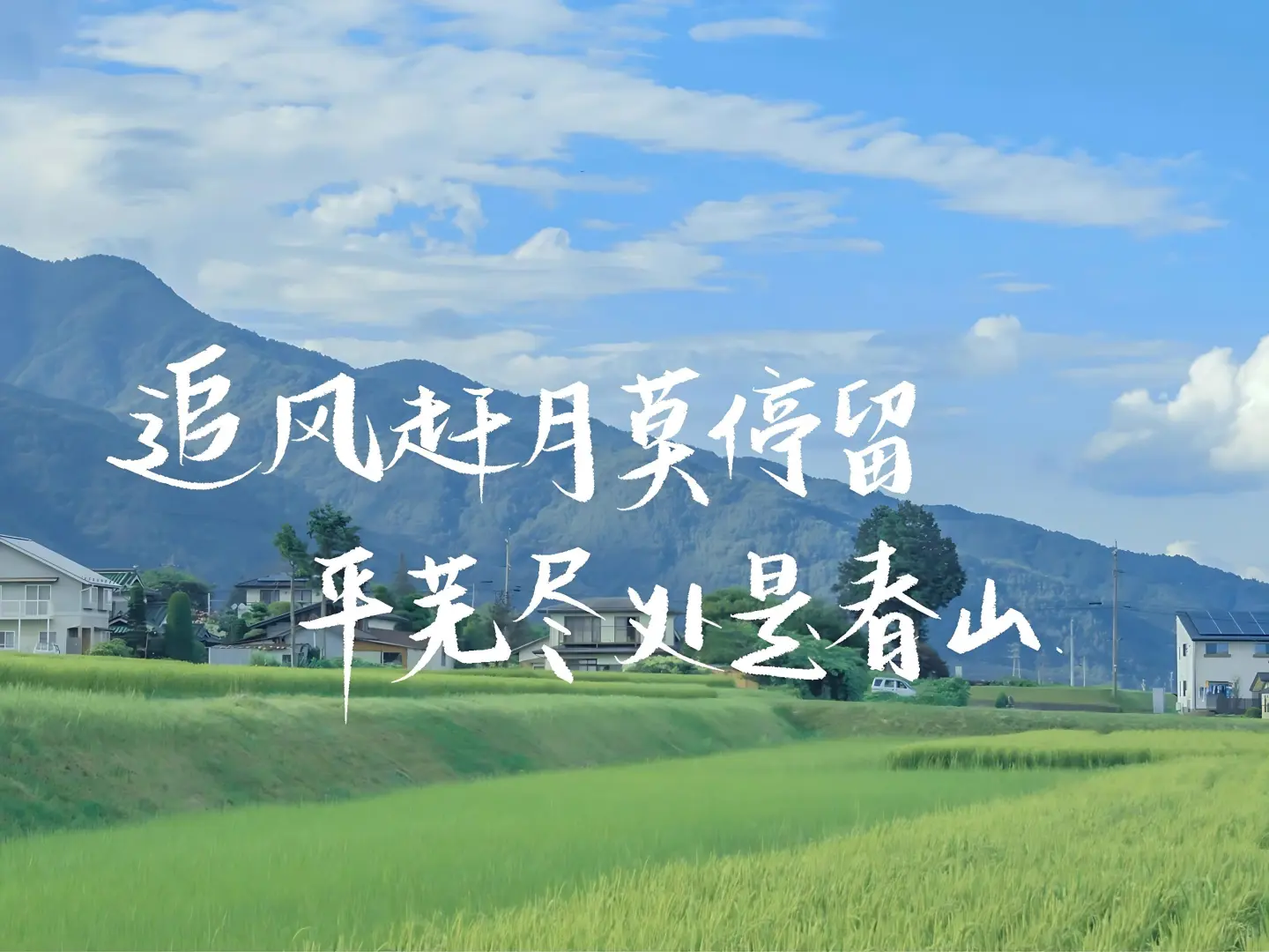 iPad壁纸 | 分享一句让你支撑了很久的话💭