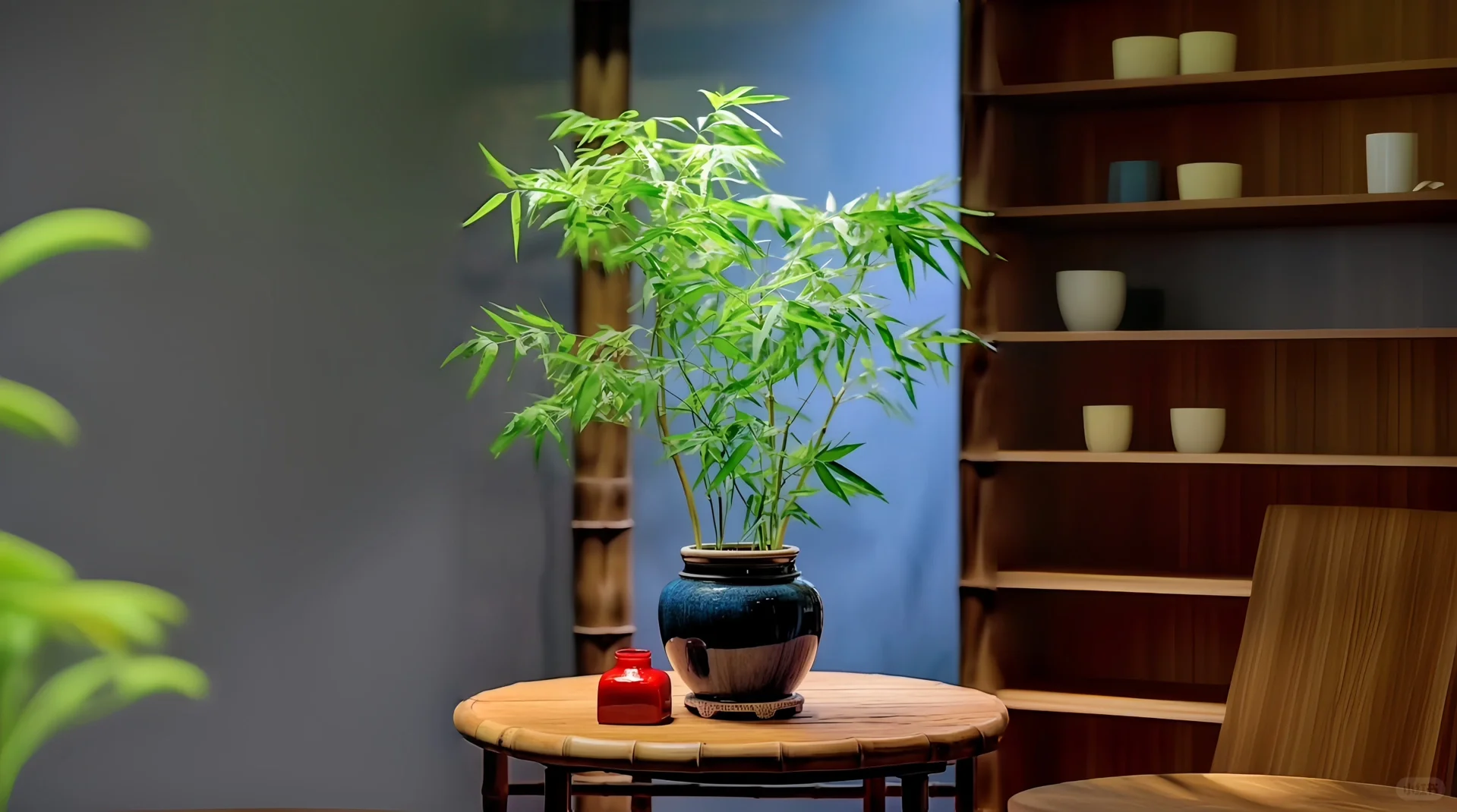 横屏，礼貌拿图