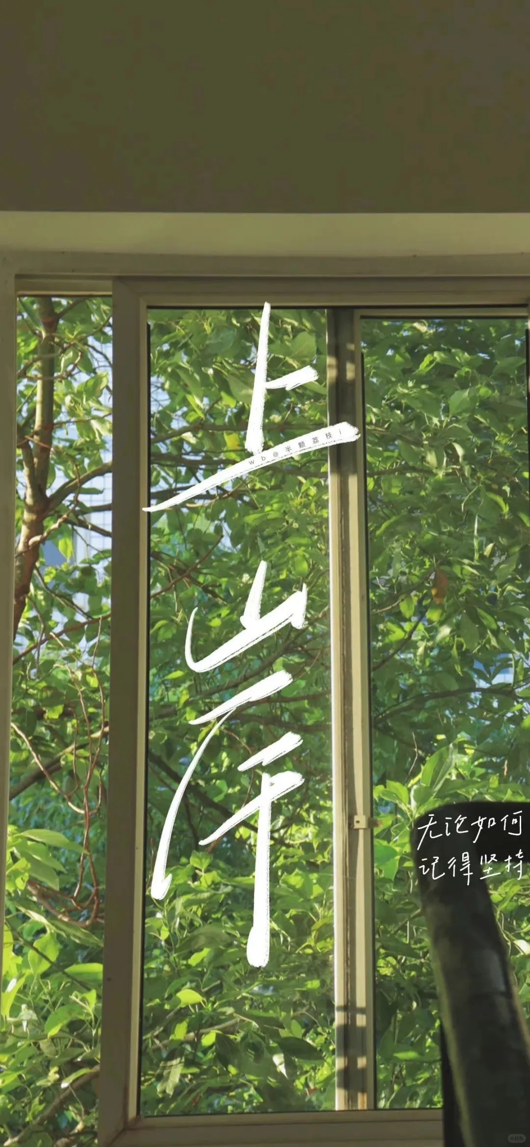 想法从来不是多余的丨上岸壁纸