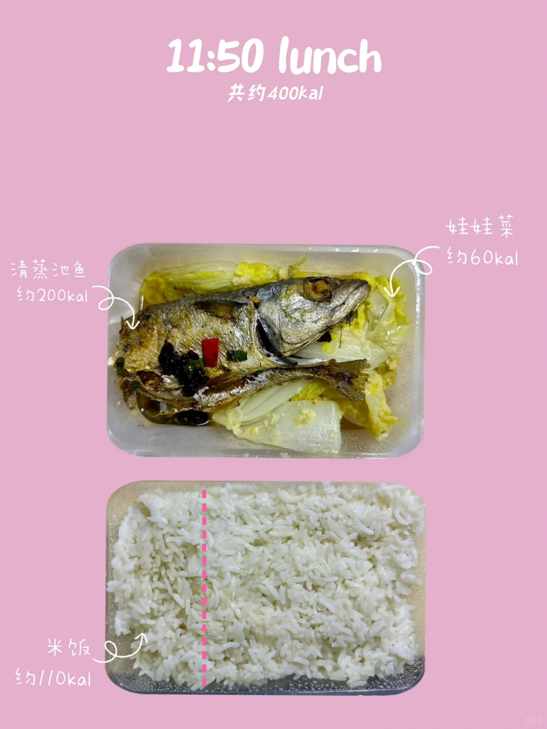 Day36｜女大学生在校减肥吃了956kal的一天