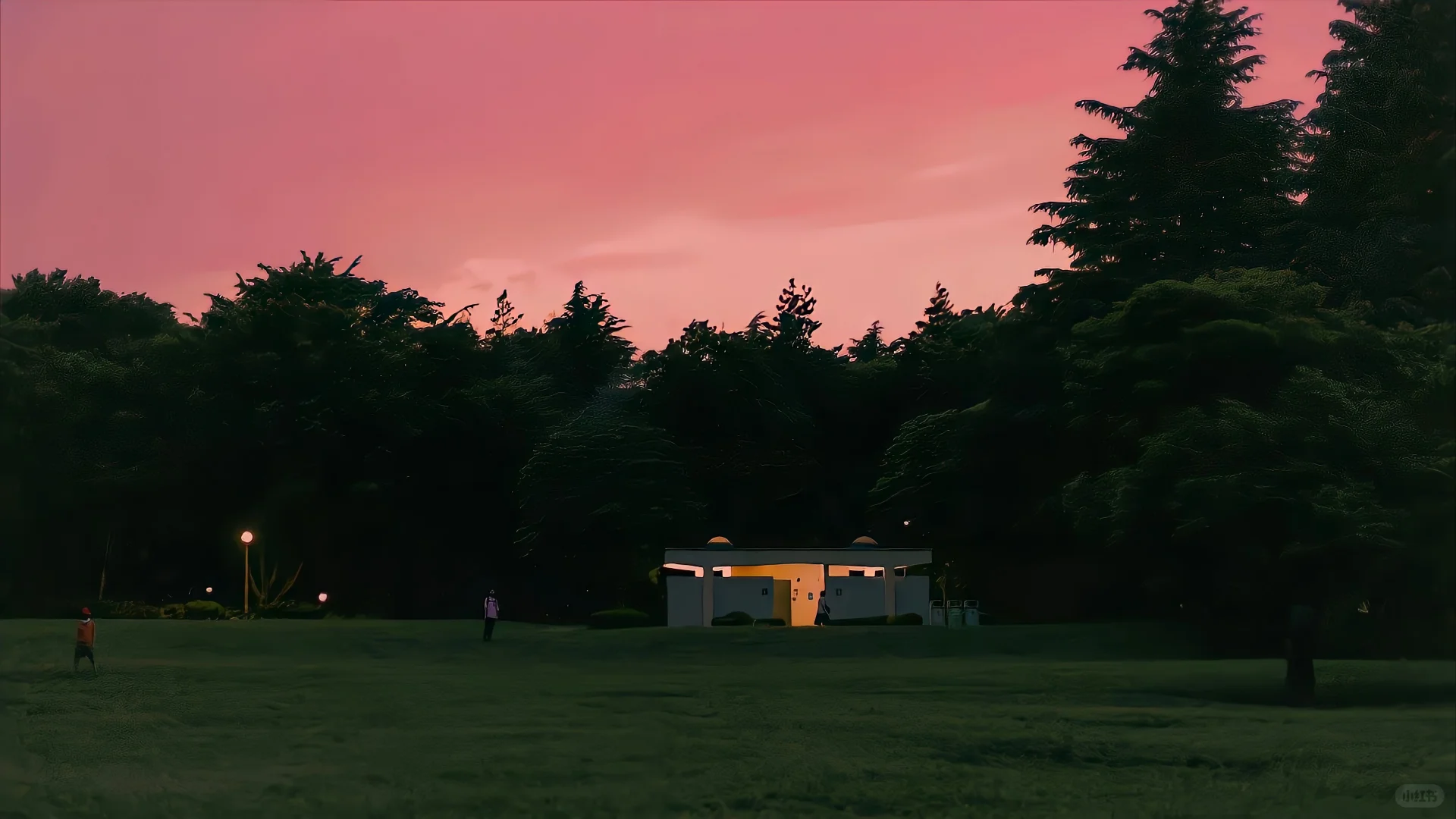 𝙒𝙚𝘾𝙝𝙖𝙩｜风景 花花 iPad 电脑 壁纸