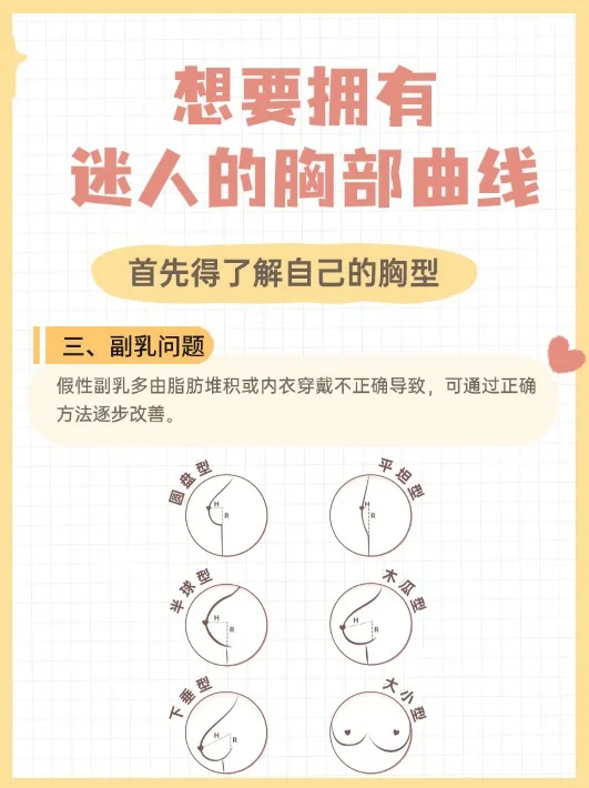 60s 精准判断胸型·科学养🐻