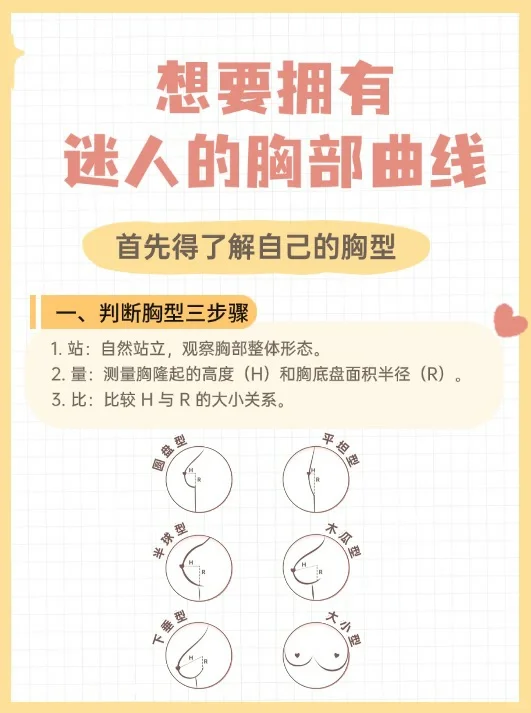 60s 精准判断胸型·科学养🐻