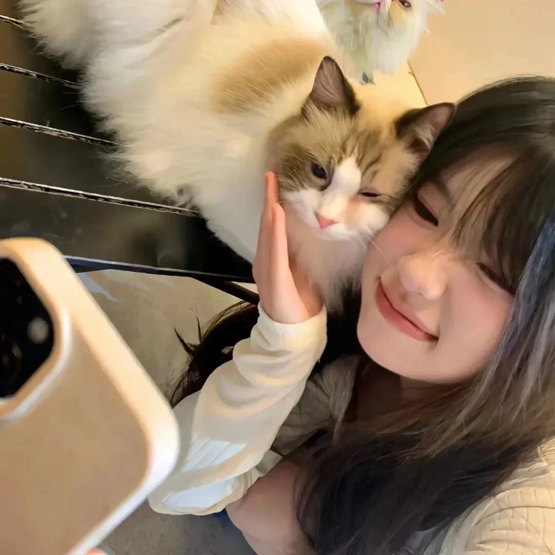 头像感照片精髓✨Wechat甜美女头像