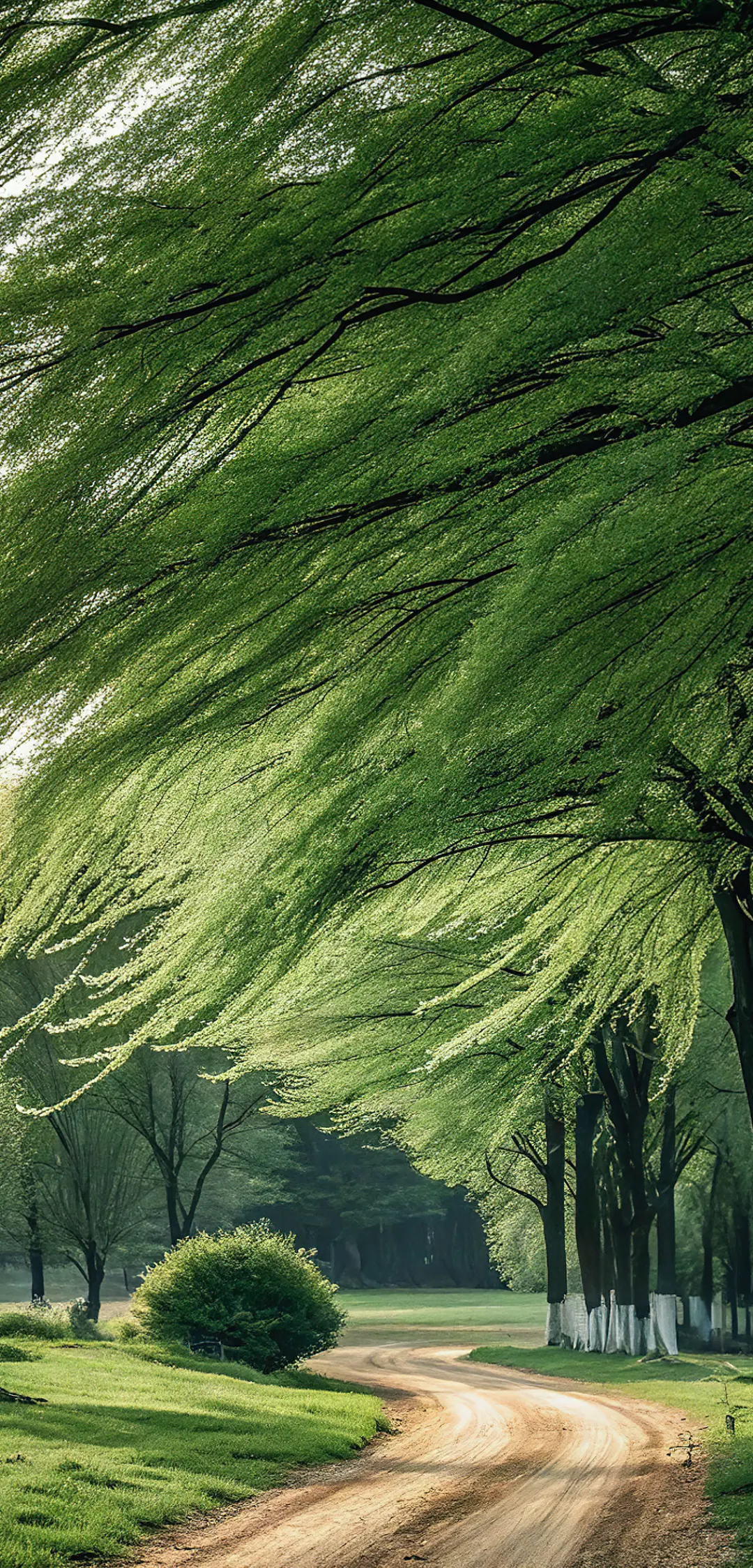 风的形状🍃｜氛围感壁纸