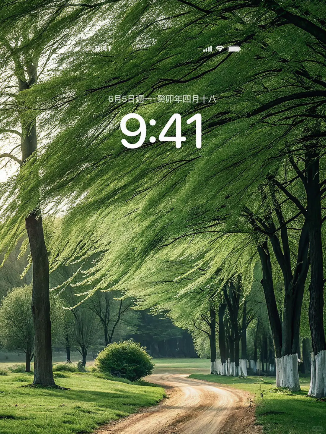 风的形状🍃｜氛围感壁纸
