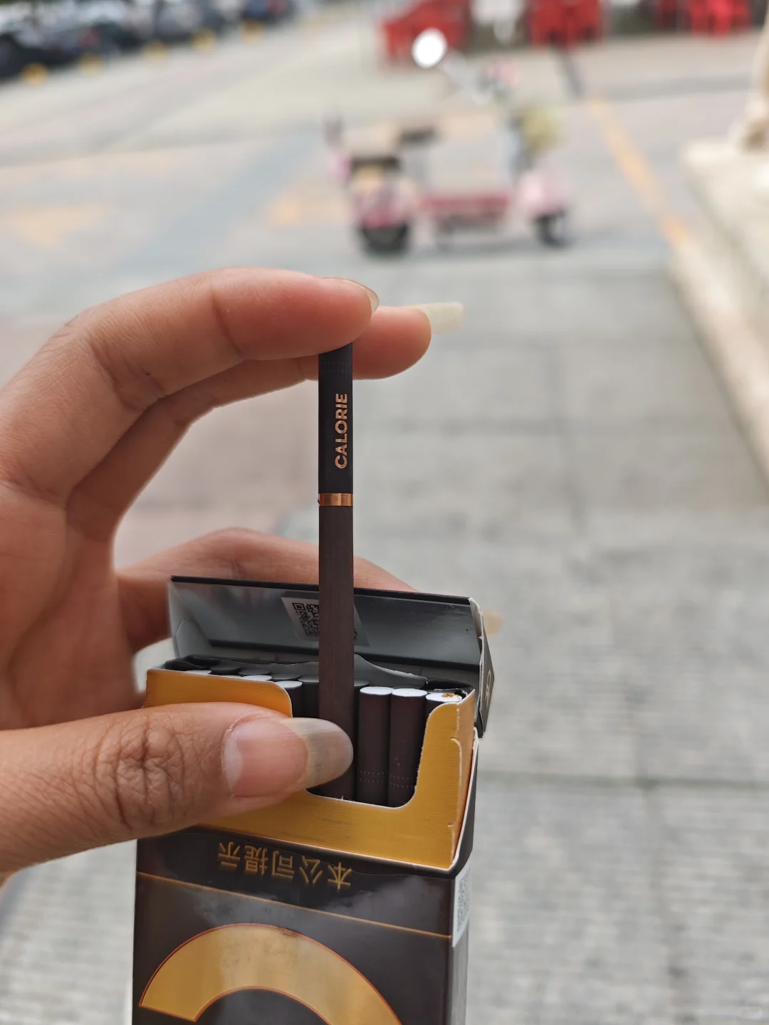 春天 卡路里