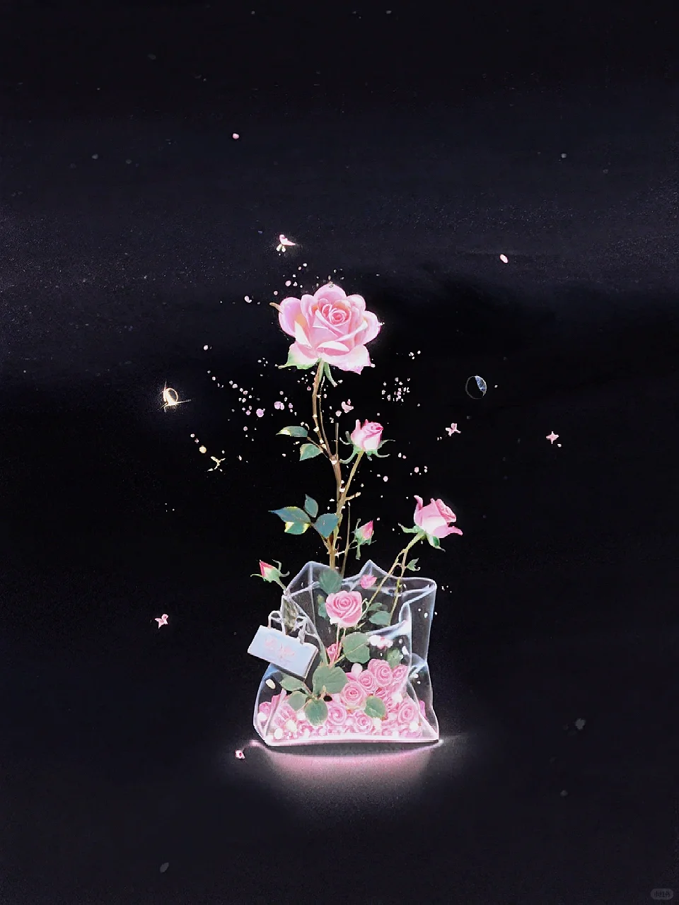 夜光玫瑰🌹