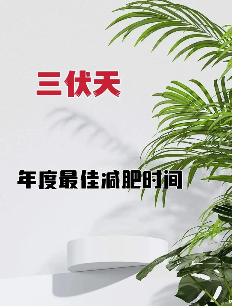 🔥三伏天，燃脂季！