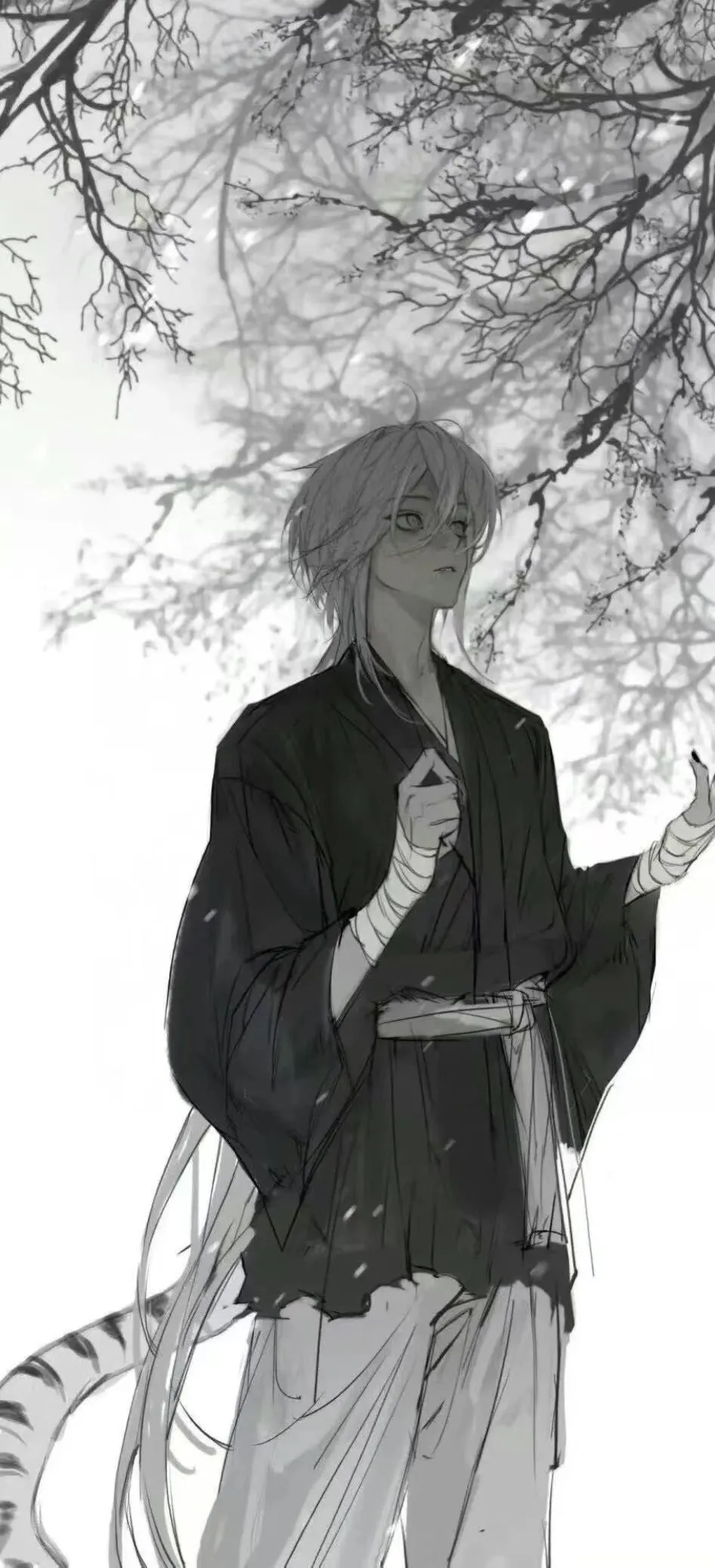 𝙎𝙝𝙖𝙧𝙚｜权威壁纸18张
