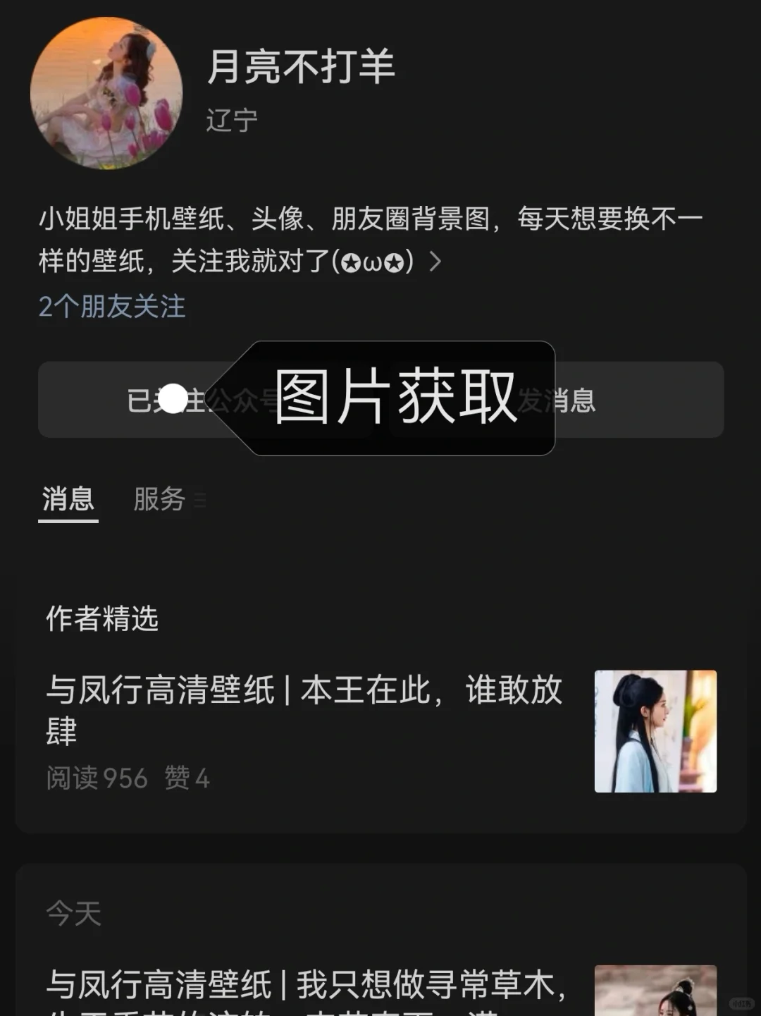 与凤行平板壁纸来啦