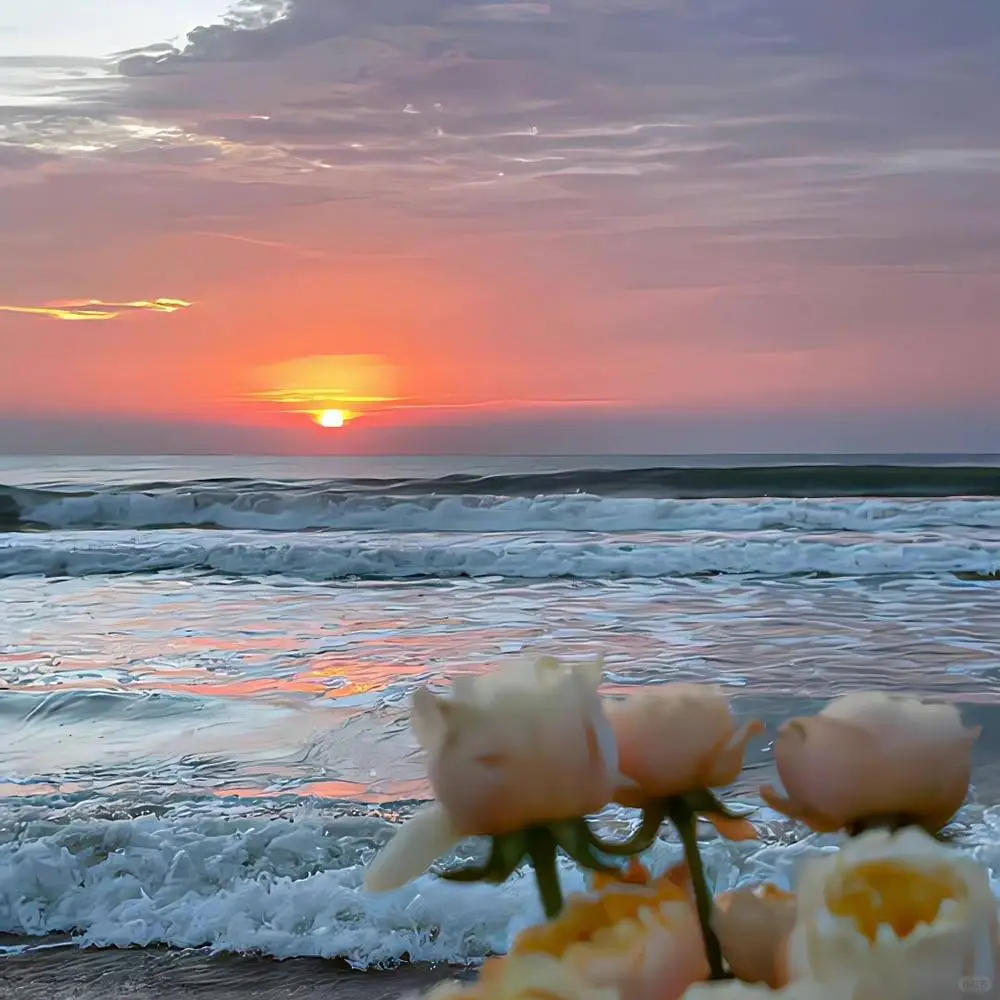 🐚海边背景图🐚
