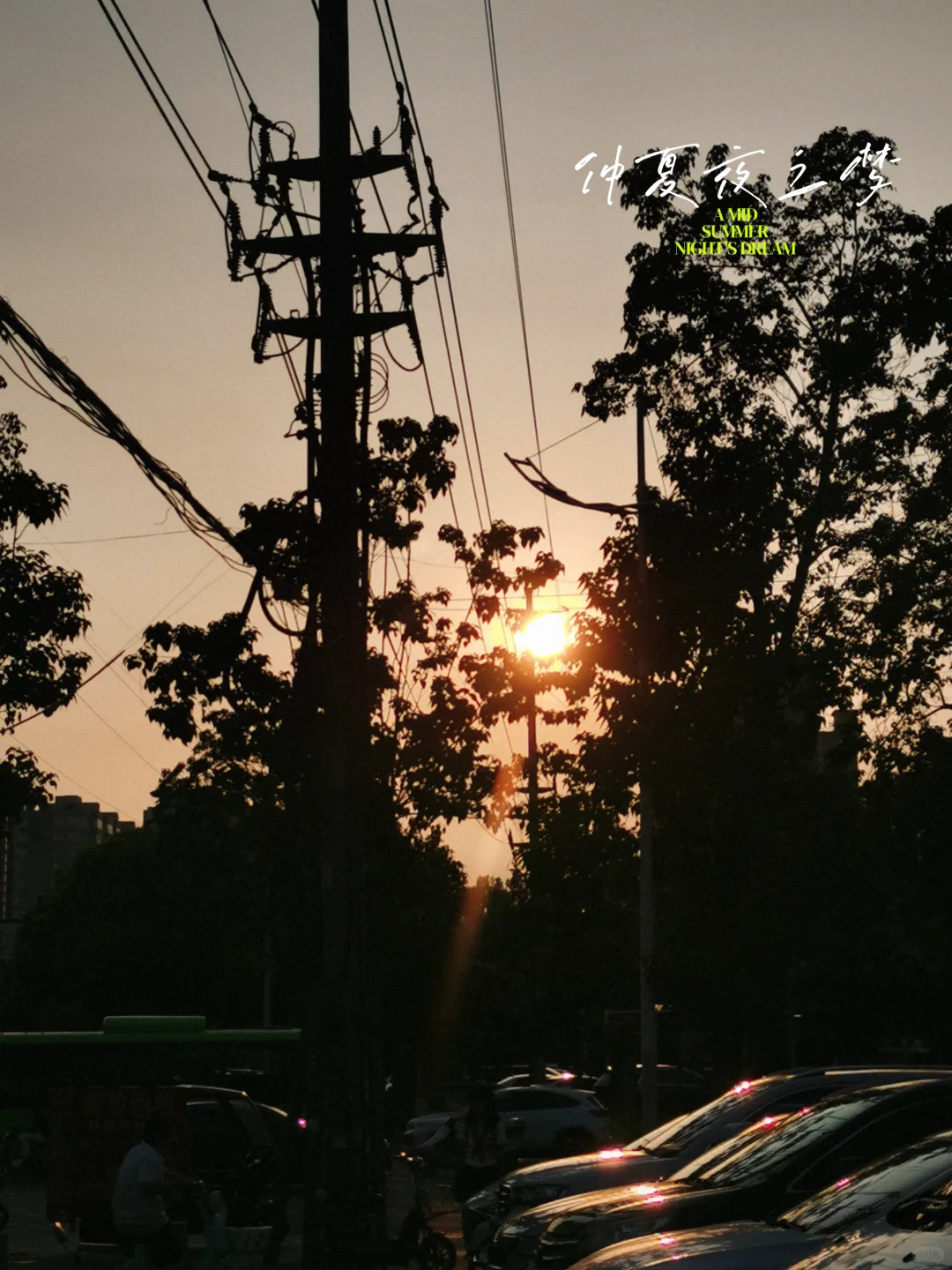 第9天| 14天减肥第三阶段，低碳日