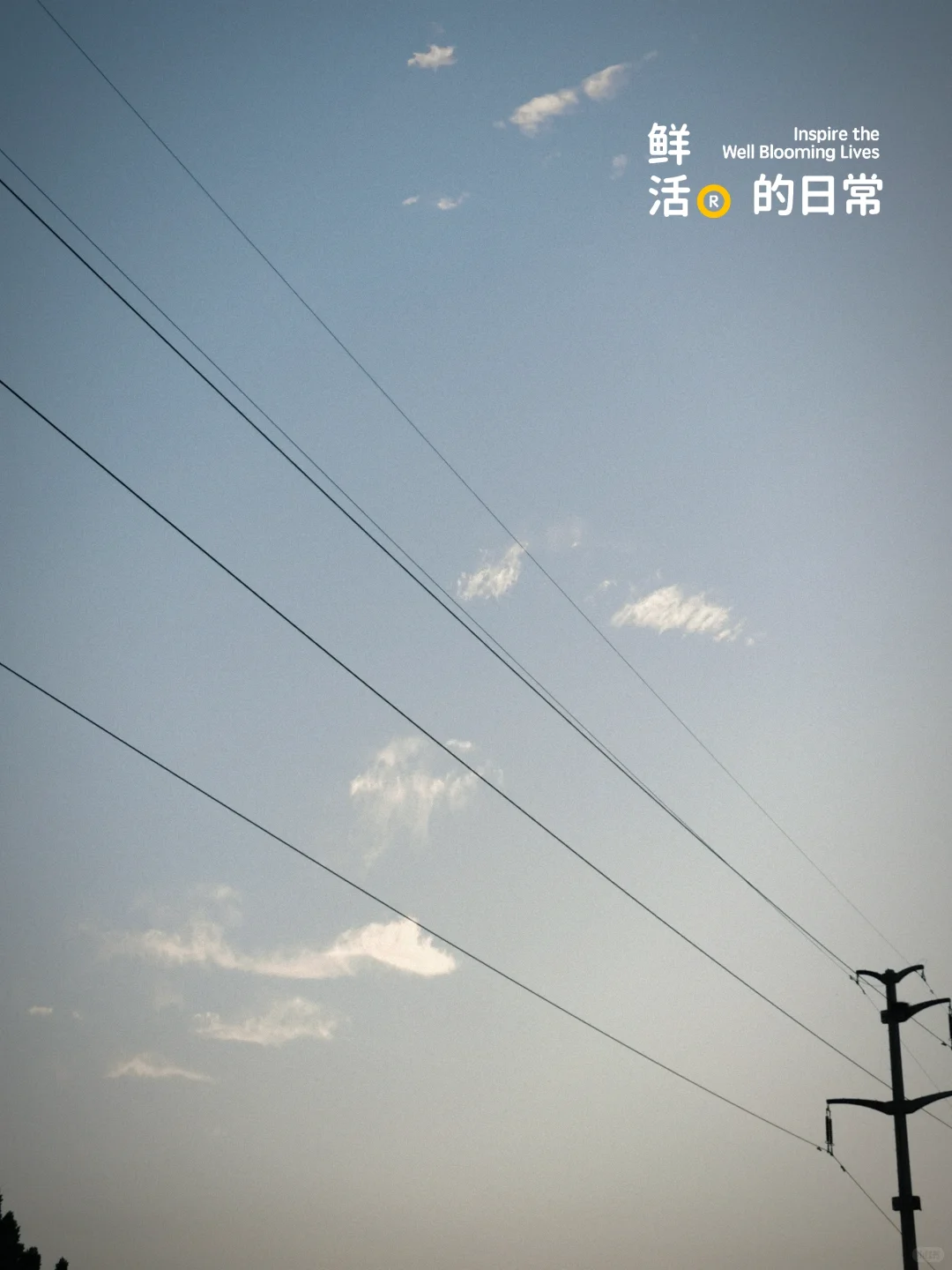 第9天| 14天减肥第三阶段，低碳日