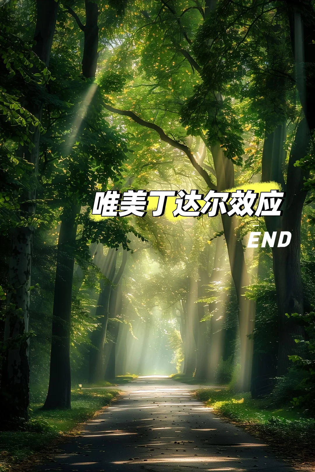 当丁达尔效应发生时，光便有了形状。