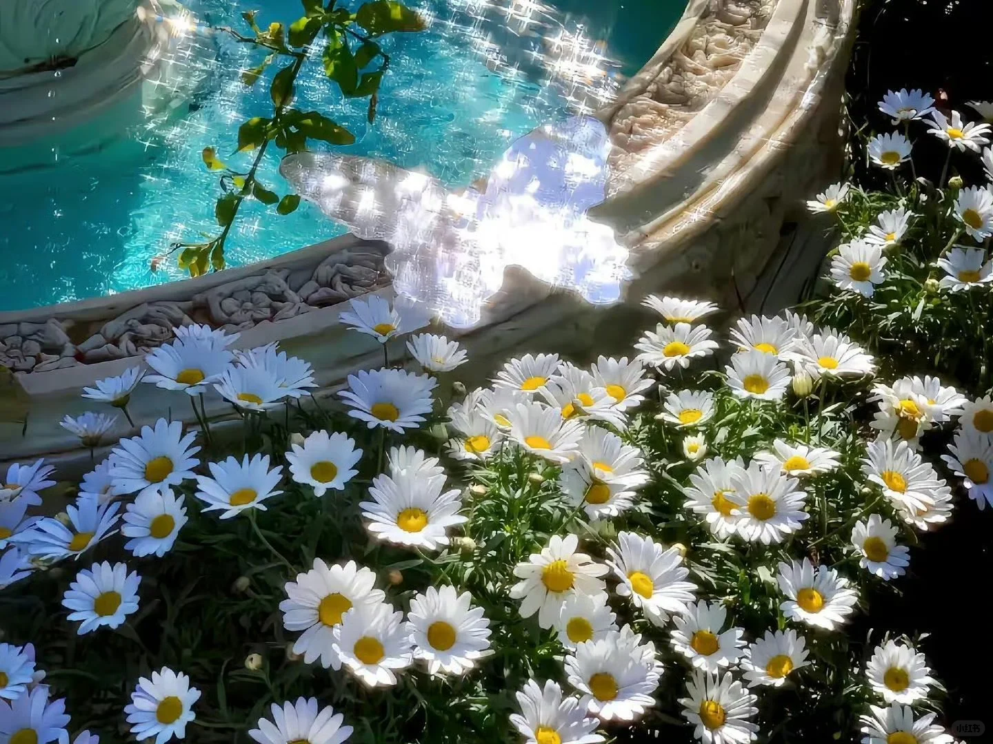 ipad唯美风景壁纸