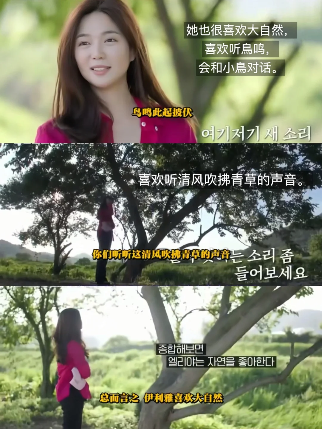 像韩女一样生活 （李伊利雅篇）