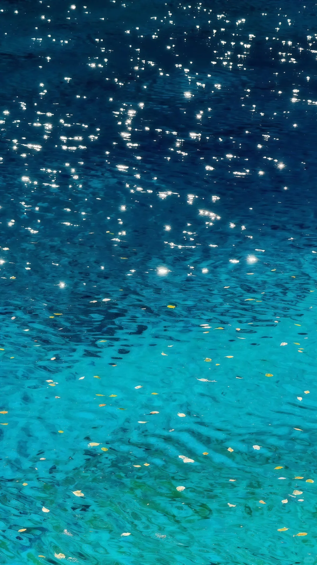 夏日高清壁纸
