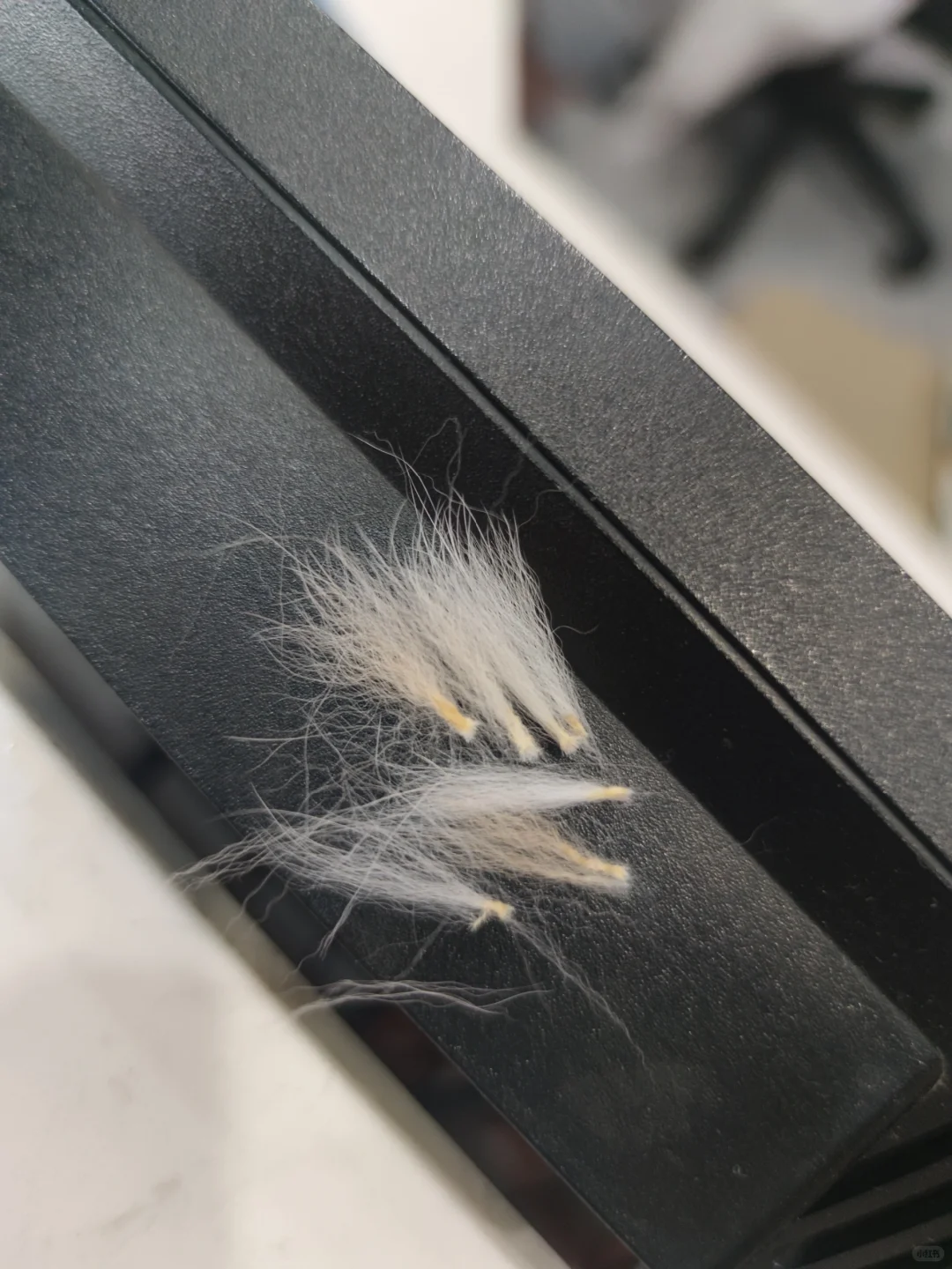 痘痘肌小兔子