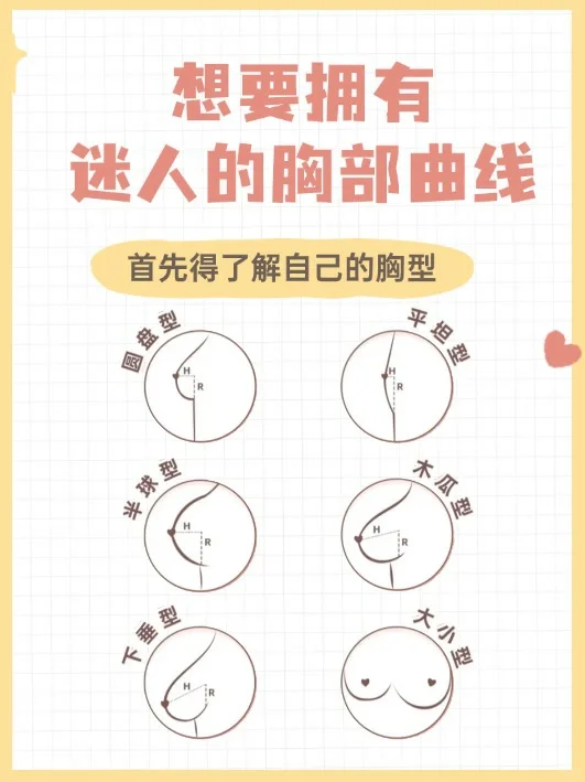 60s 精准判断胸型·科学养🐻