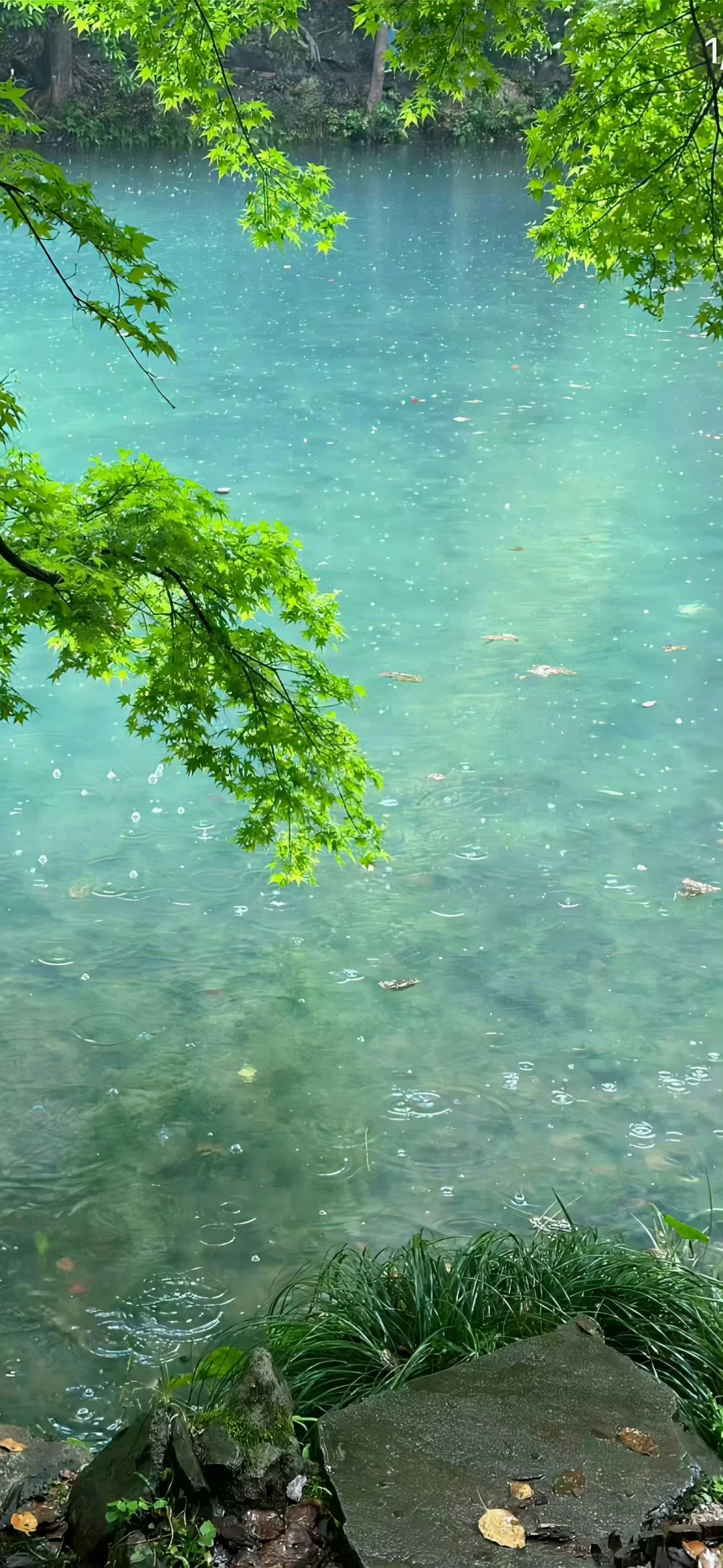 🍃壁纸推荐（九）