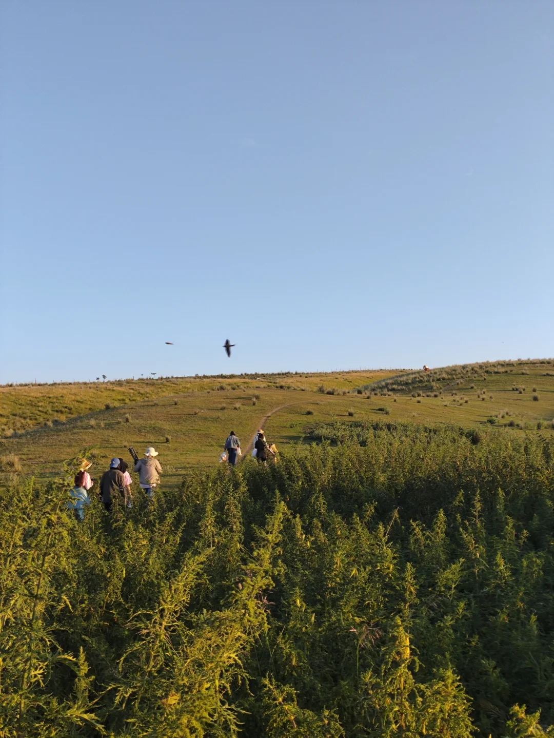 infp旅居🍃全女共居 像回到了母系社会