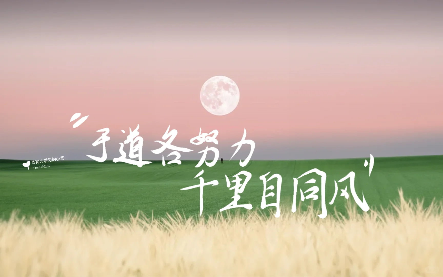 春天神极壁纸也太好看了吧！✨✨