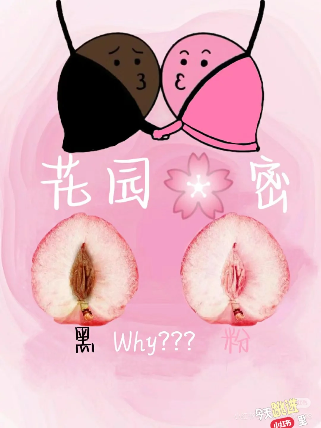 哇塞，太粉了吧