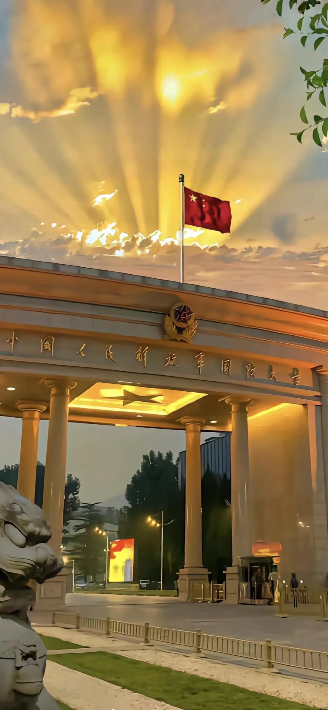 太想进步了，壁纸系列