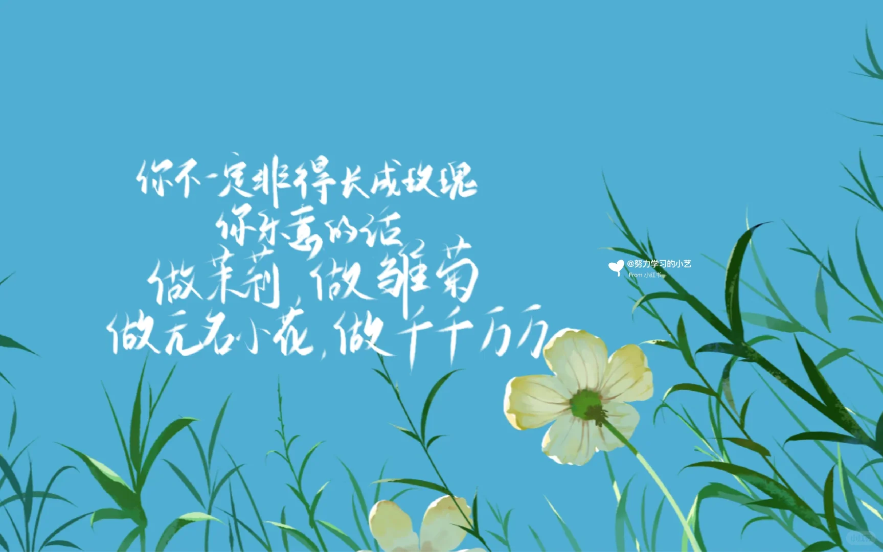 春天神极壁纸也太好看了吧！✨✨