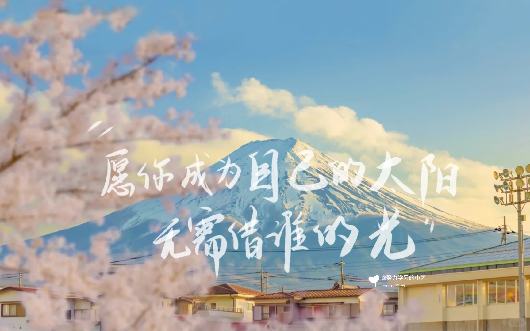 春天神极壁纸也太好看了吧！✨✨