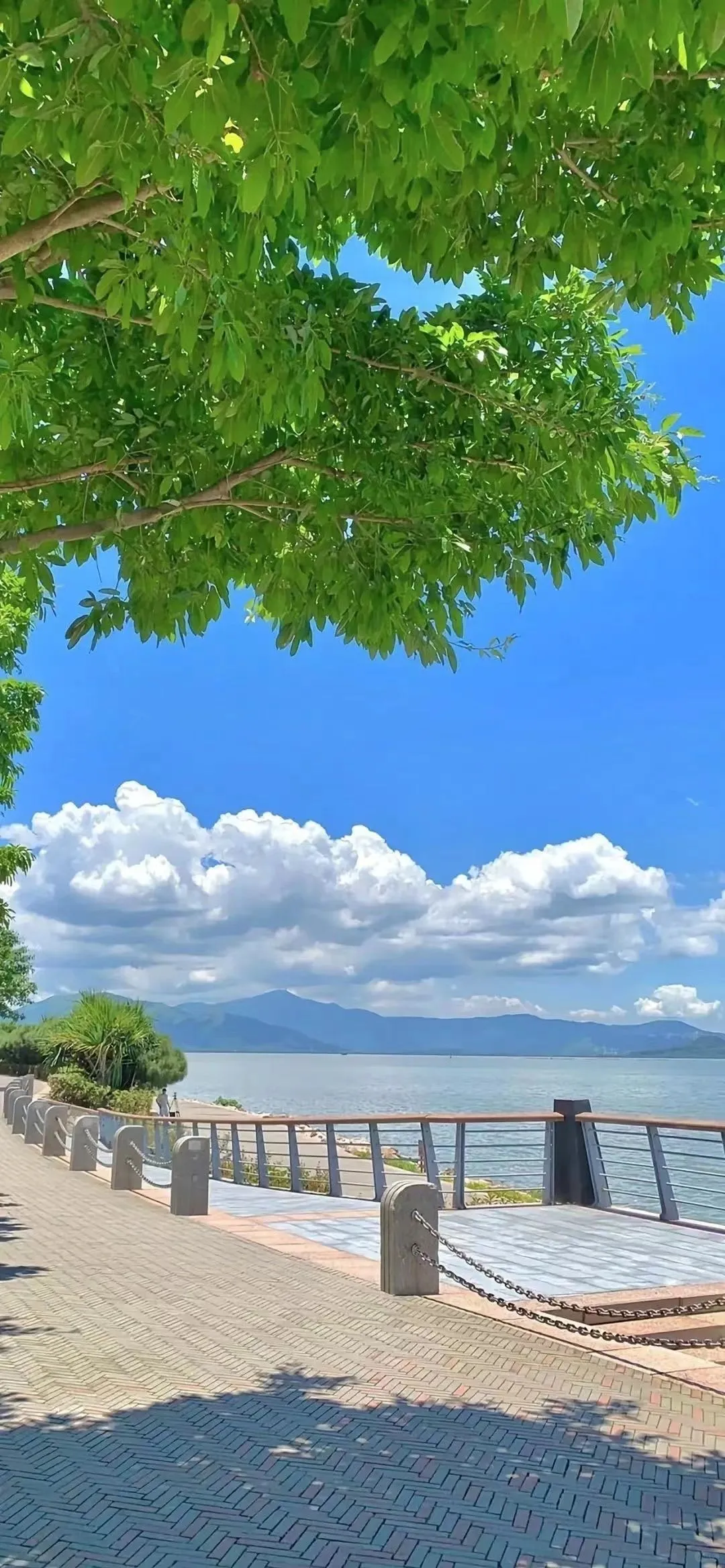 上年纪了，开始喜欢风景壁纸，存几张